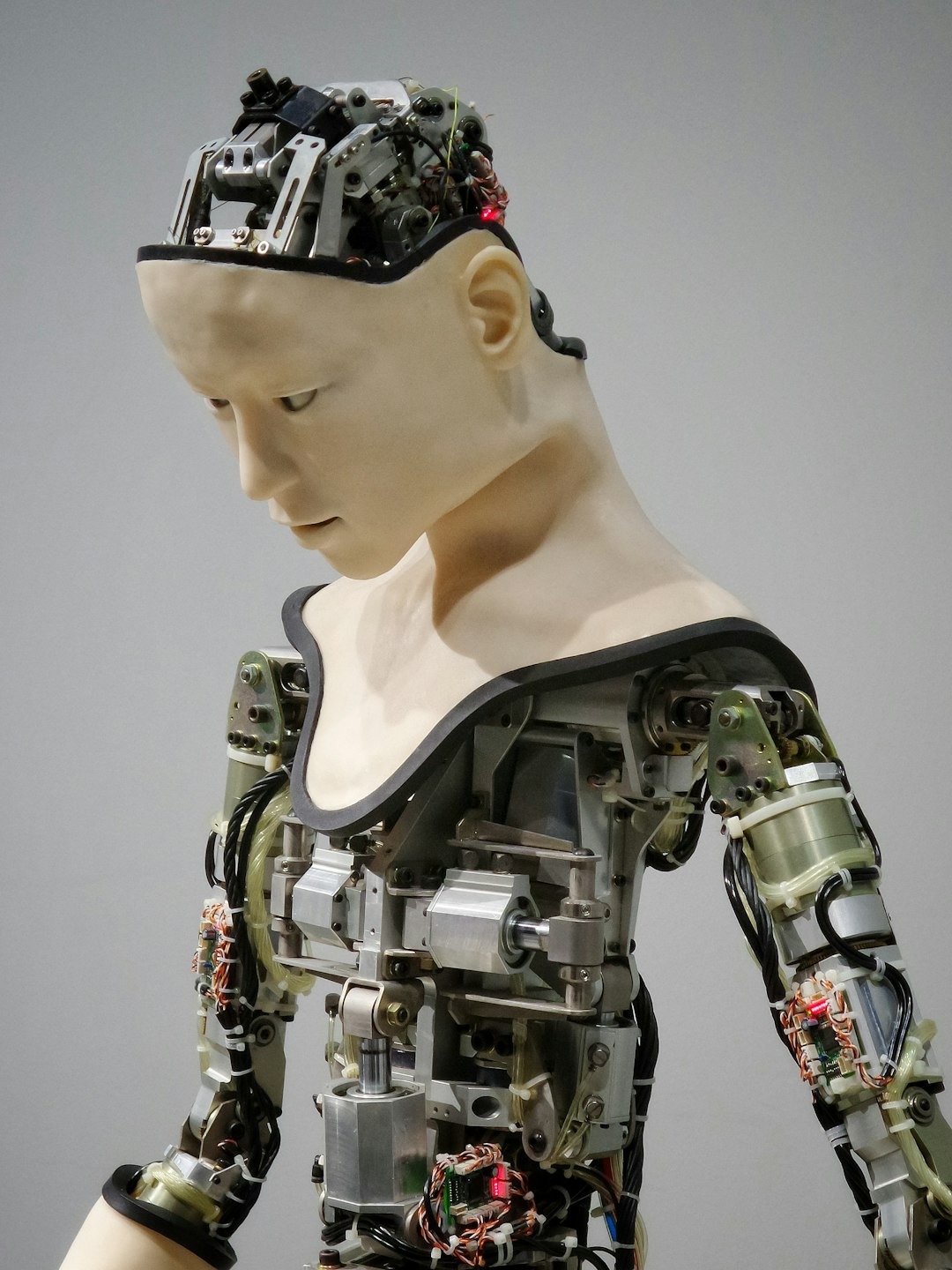 AI in everyday life